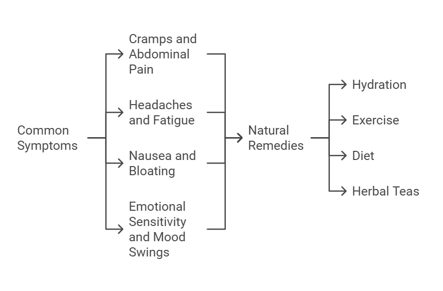 Stages of Menstrual Cycle Symptoms and Management